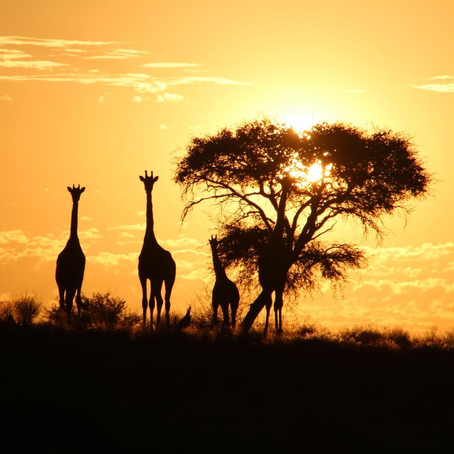 Kalahari Red Dunes Lodge Kalkrand ภายนอก รูปภาพ